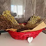 Lovely One Bedroom Studio In Tirana
