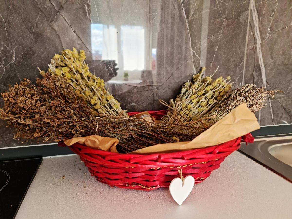 Apartament Lovely One Bedroom In Tirana